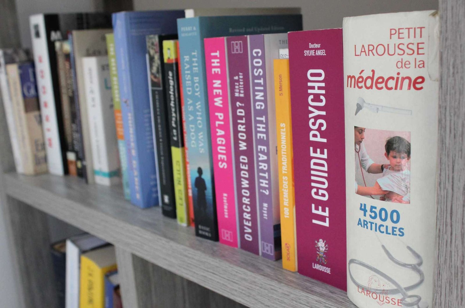 balanced-diet-featured